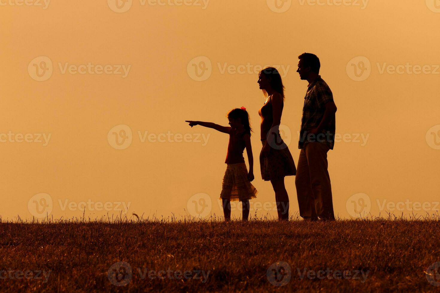 familj njut av utgifterna tid tillsammans i natur foto