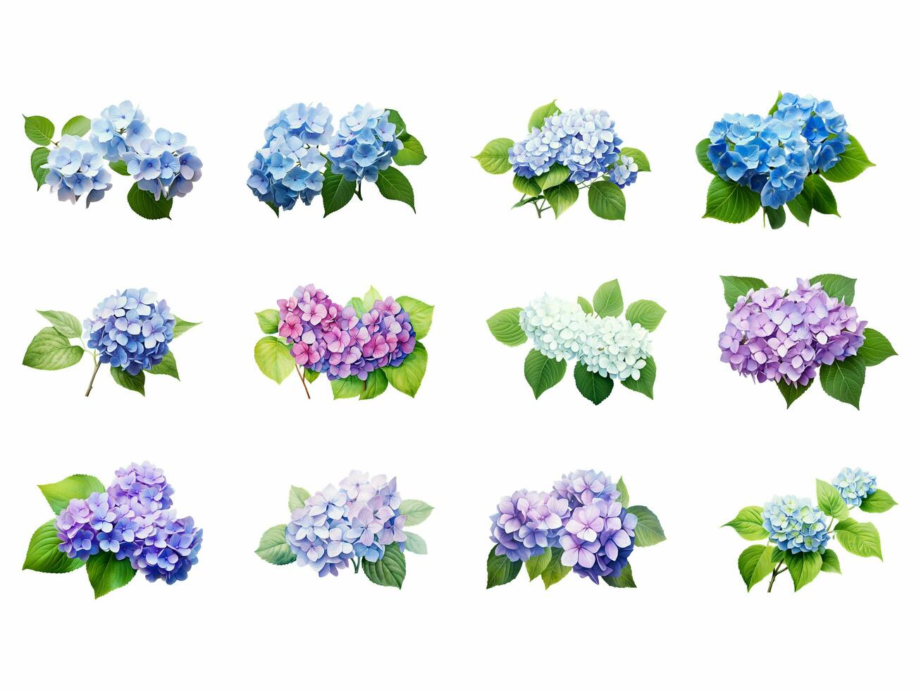 hortensia samling isolerat på vit bakgrund med ai genererad. foto