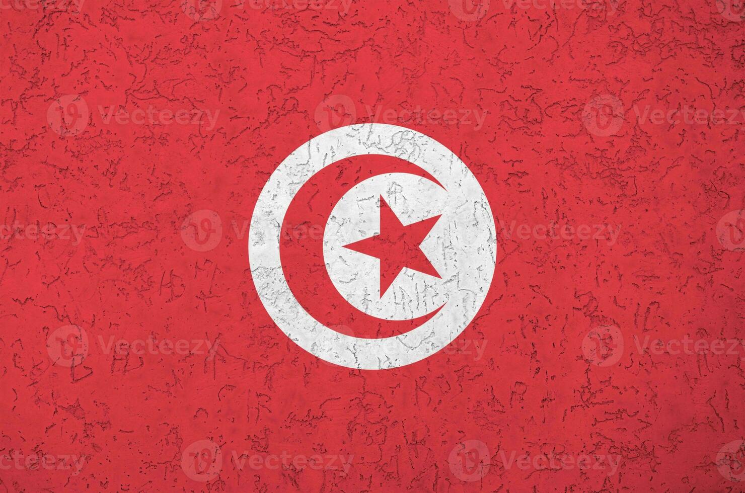 tunisien flagga avbildad i ljus måla färger på gammal lättnad putsning vägg. texturerad baner på grov bakgrund foto