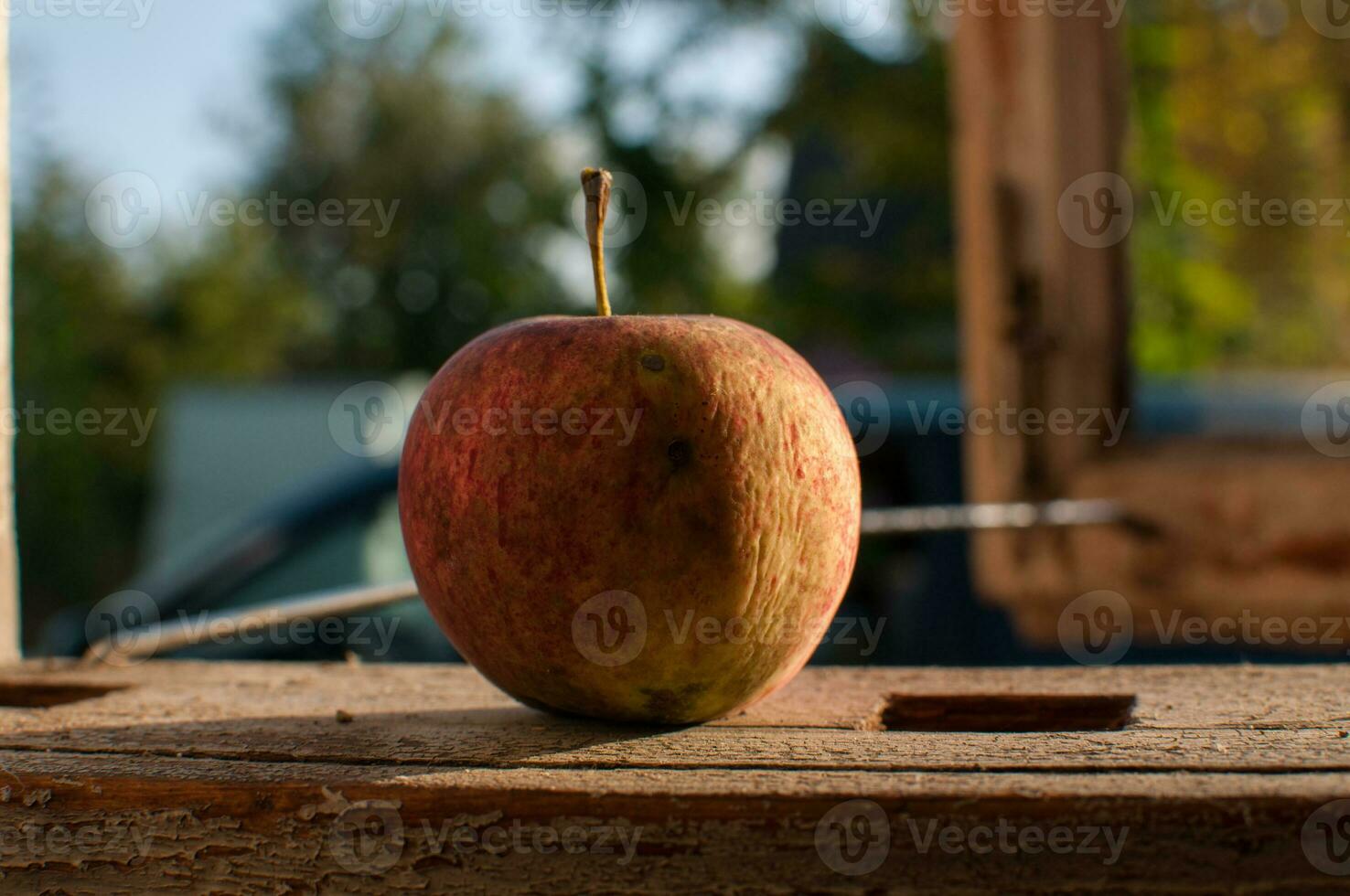 rynkig äpple under de höst solsken foto