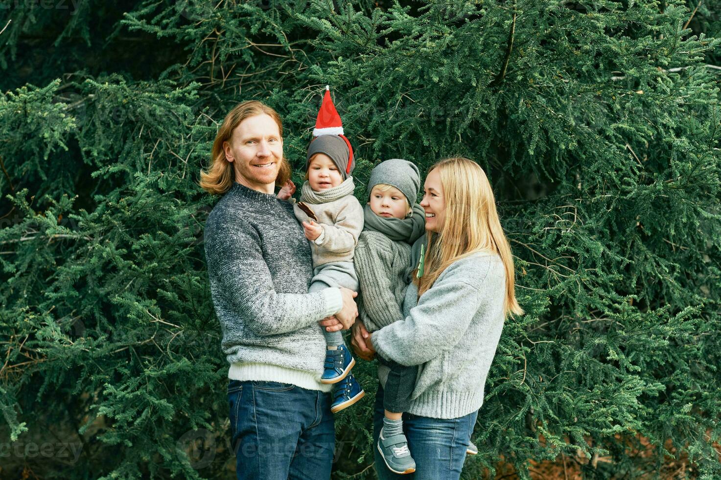 utomhus- porträtt av skön Lycklig ung familj av 4 Framställ i tall skog, bär värma tröjor, par med litet barn pojke och bebis flicka har Bra tid på natur, kall väder, jul tema foto