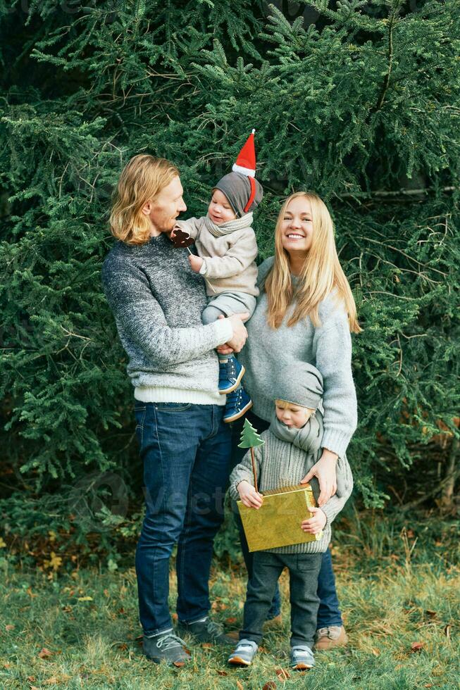 utomhus- porträtt av skön Lycklig ung familj av 4 Framställ i tall skog, bär värma tröjor, par med litet barn pojke och bebis flicka har Bra tid på natur, kall väder, jul tema foto