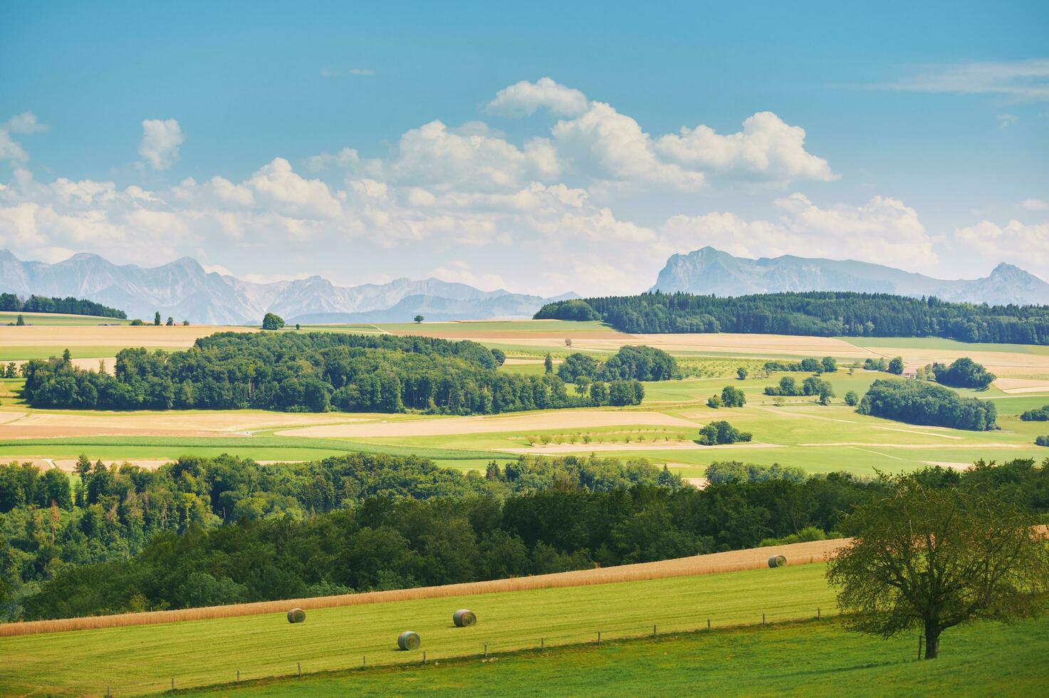 skön sommar landskap med ljus grön fält, kanton av vaud, schweiz foto