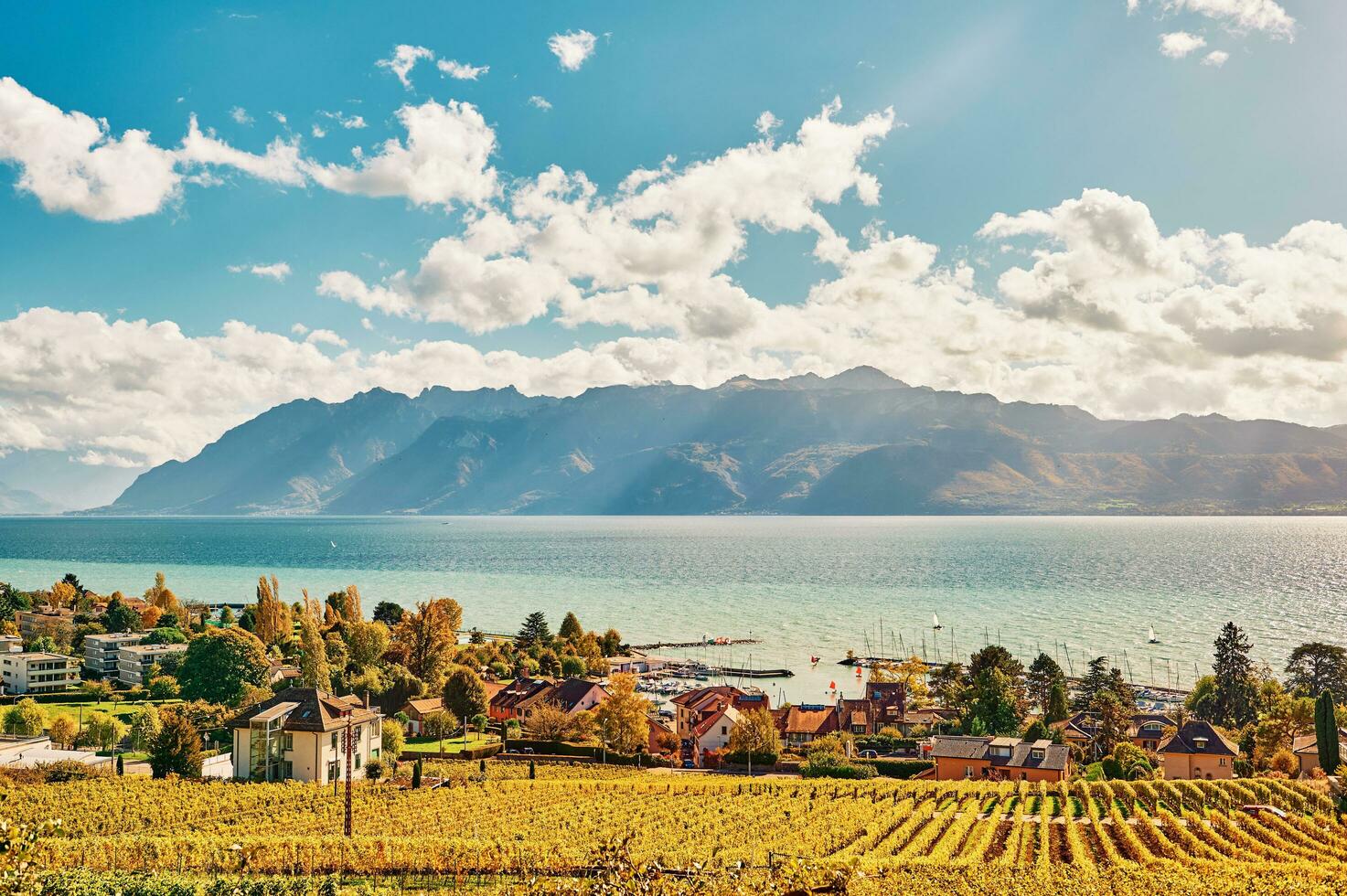 skön landskap av lavaux vingårdar och sjö Genève, pully, schweiz foto