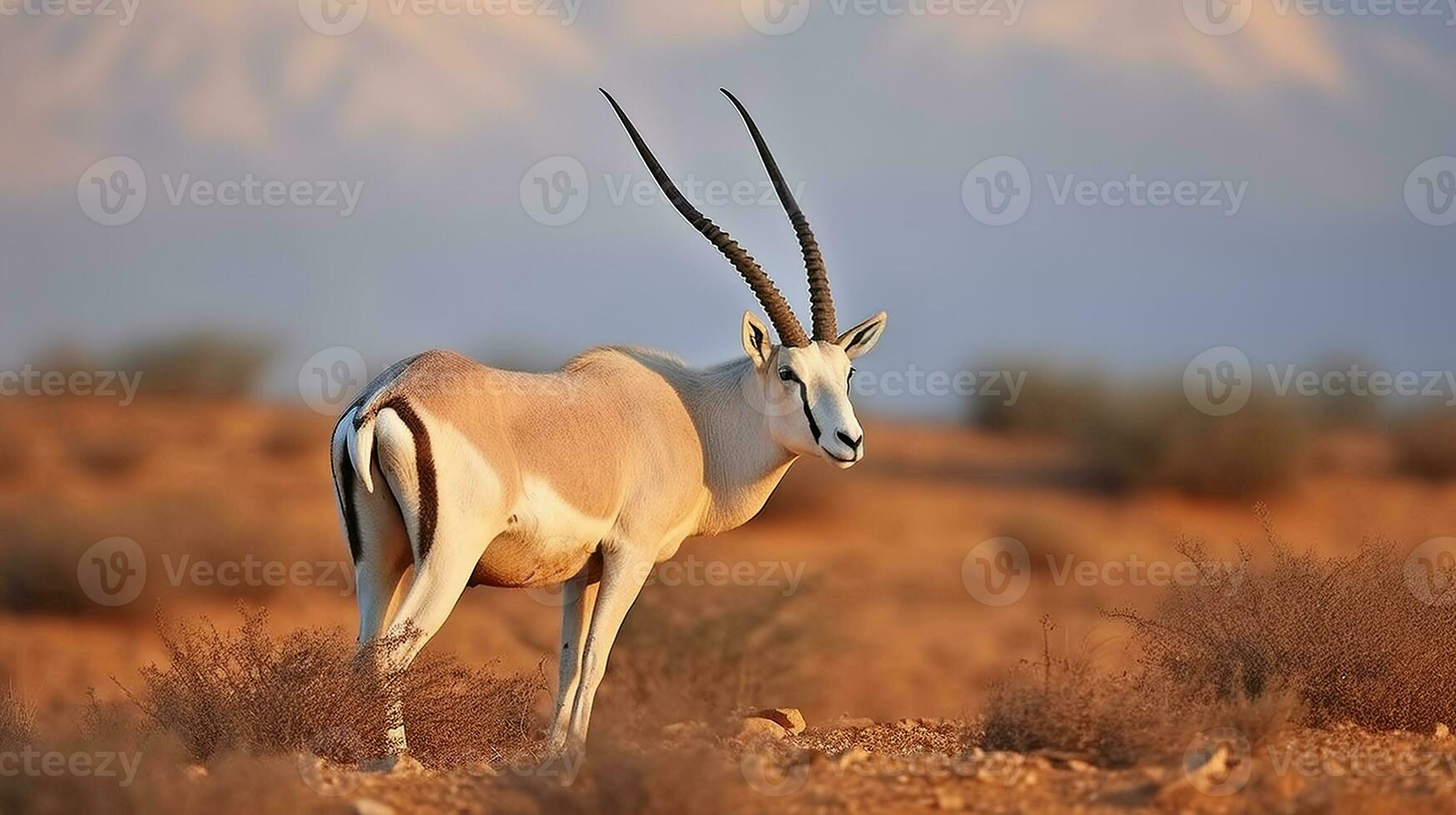 arab oryx i deras naturlig livsmiljö på shaumari boka, jordan. generativ ai foto