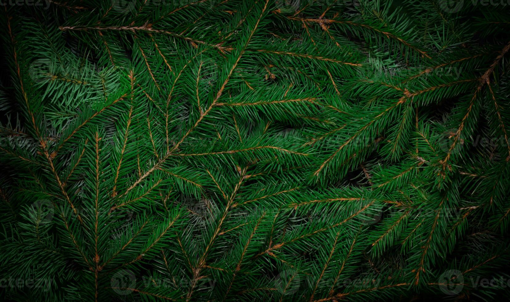 jul träd grenar. grön naturlig bakgrund. jul bakgrund. natur ny år begrepp. foto