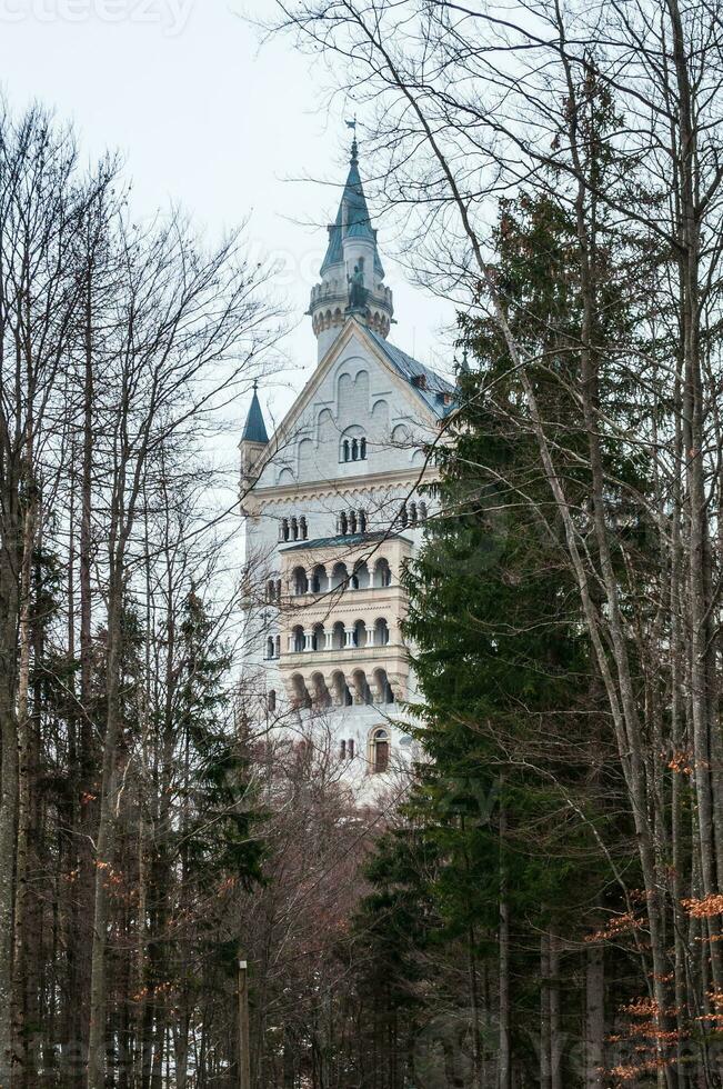 neuschwanstein slott i vinter, se från de skog på de berg i främre av de slott foto