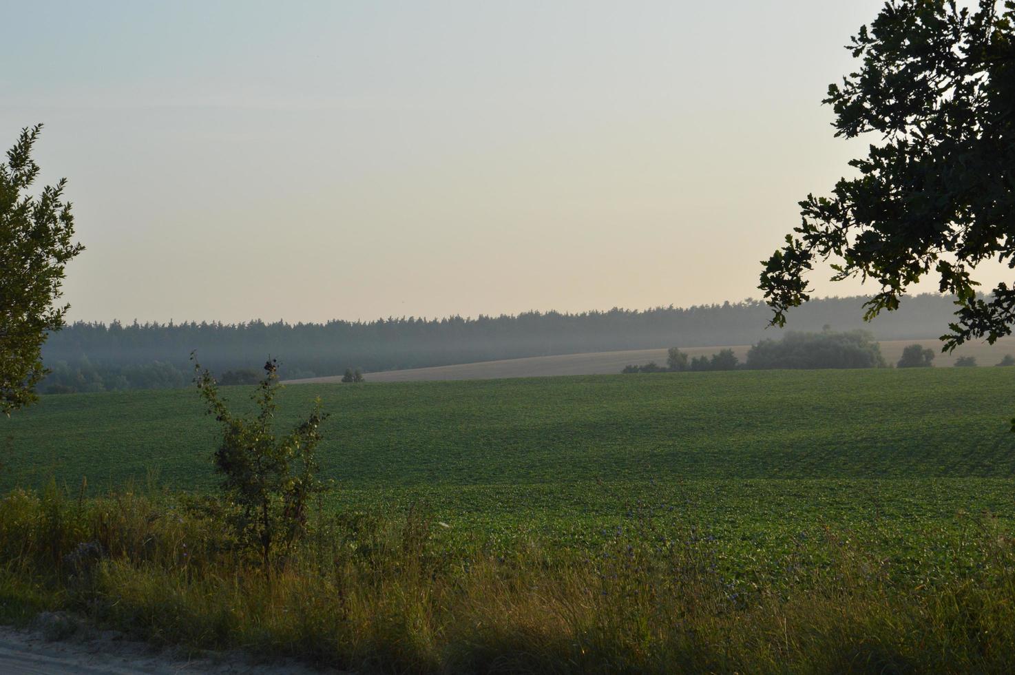 panorama över området i byn foto