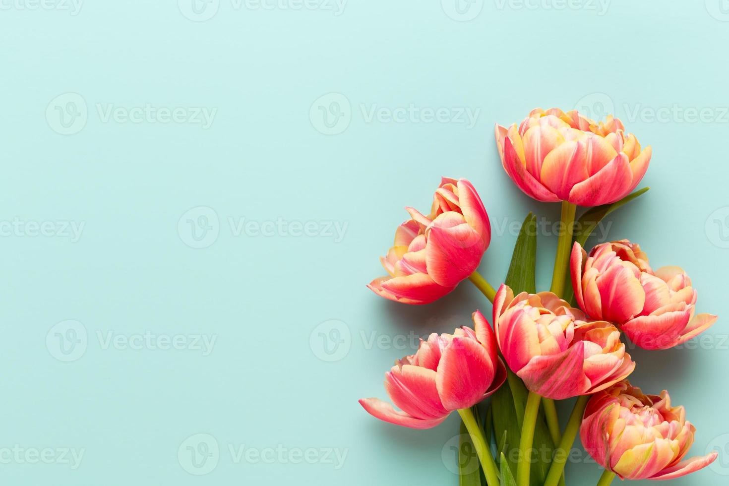 vårblommor, tulpaner på pastellfärger bakgrund. retro vintage stil. foto