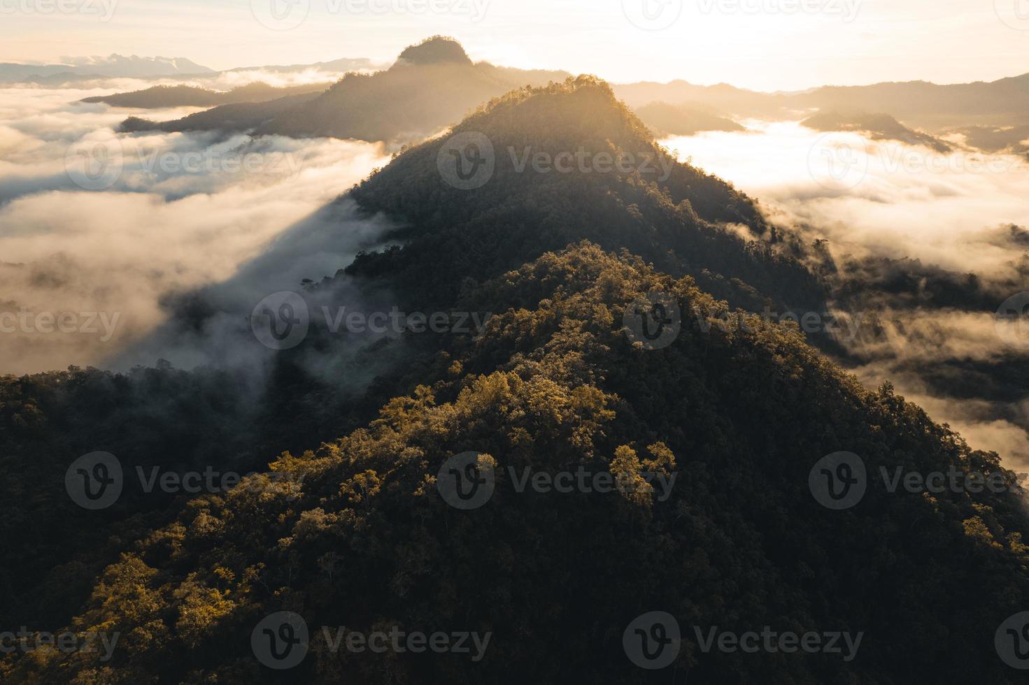 berg och morgondimma i tropisk skog foto