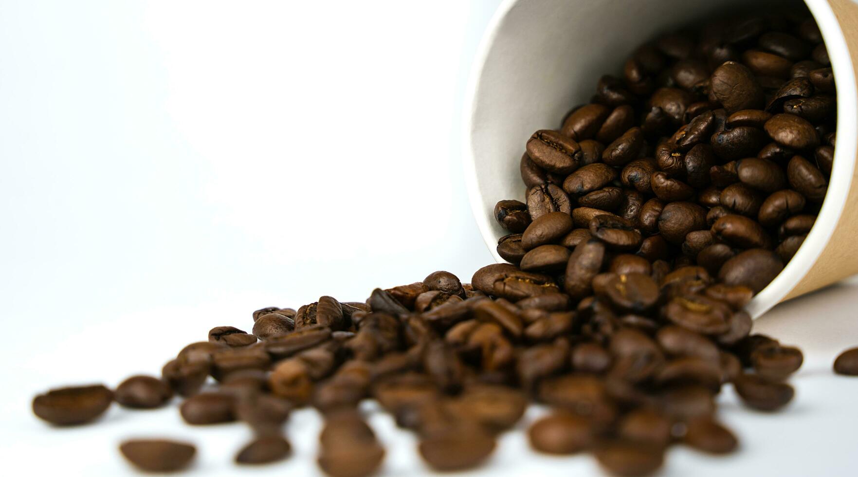 naturlig kaffe bönor spillts ut av en disponibel papper kopp. närbild. kopia Plats. selektiv fokus. foto