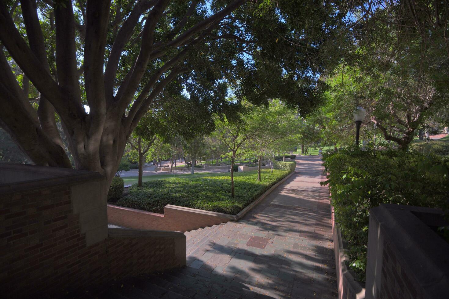 solbelyst gångväg på högskola campus foto