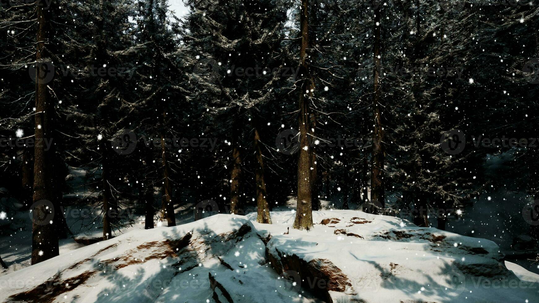 vinterskog i snön foto