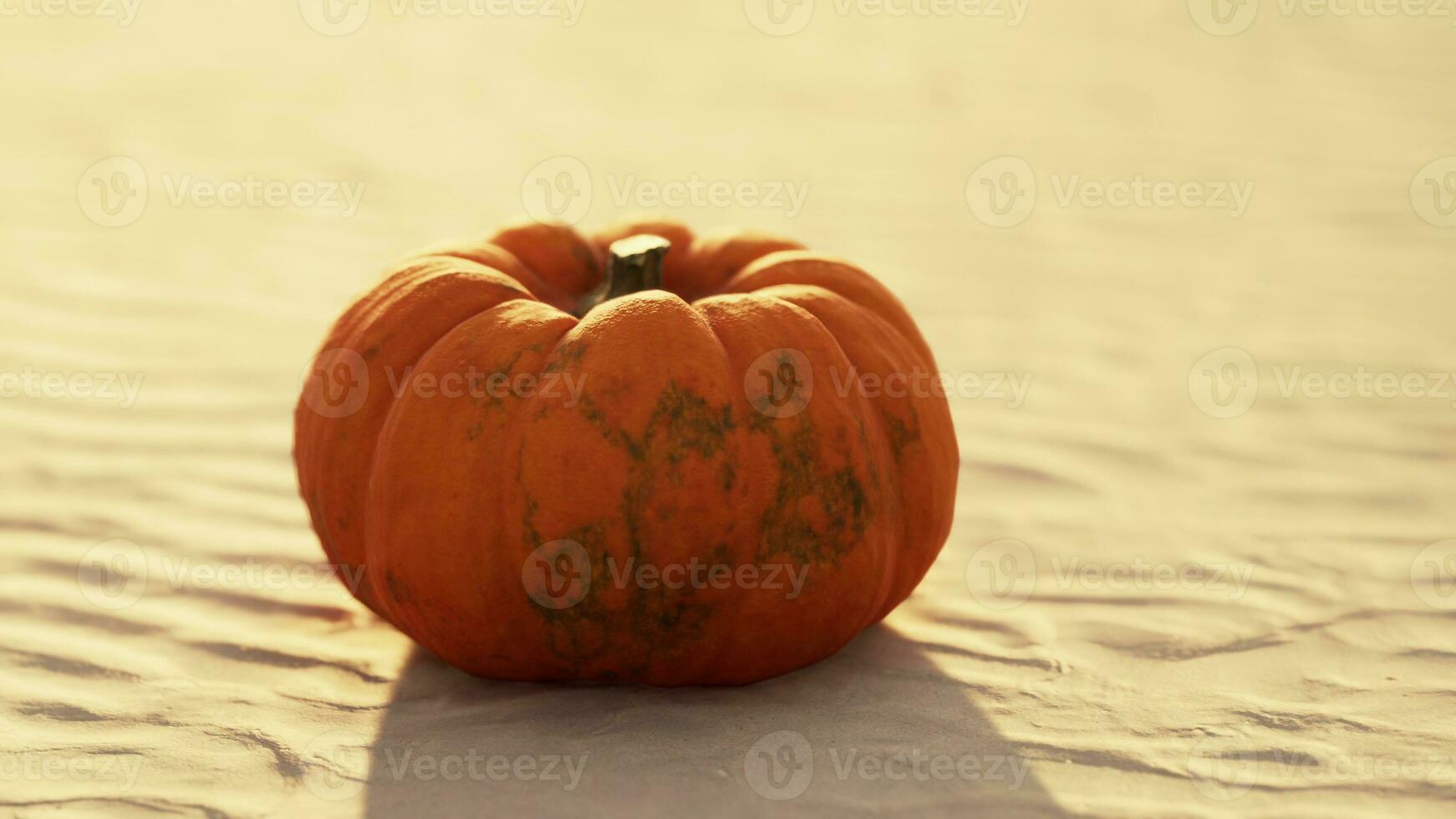 halloween pumpa på de strand sanddyner foto