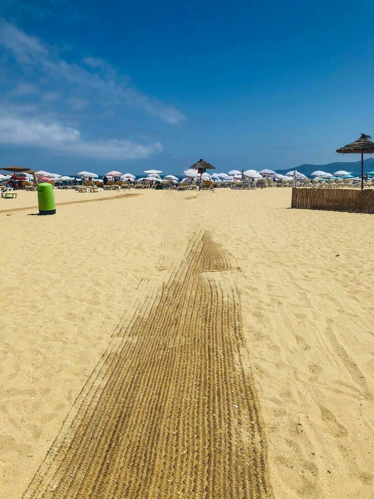 marina leende Port till Upptäck de skönhet av de strand ingång foto