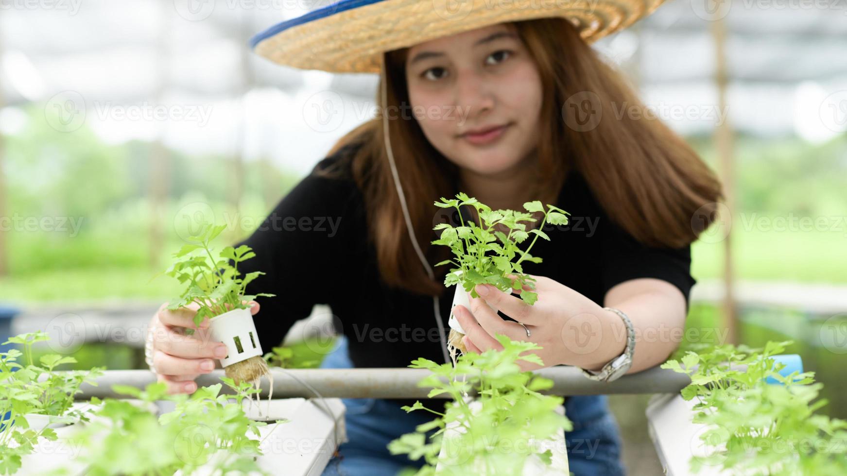 asiatisk tonårsflicka bonde visar hydroponics grönsaker i växthus, smarta gården. foto
