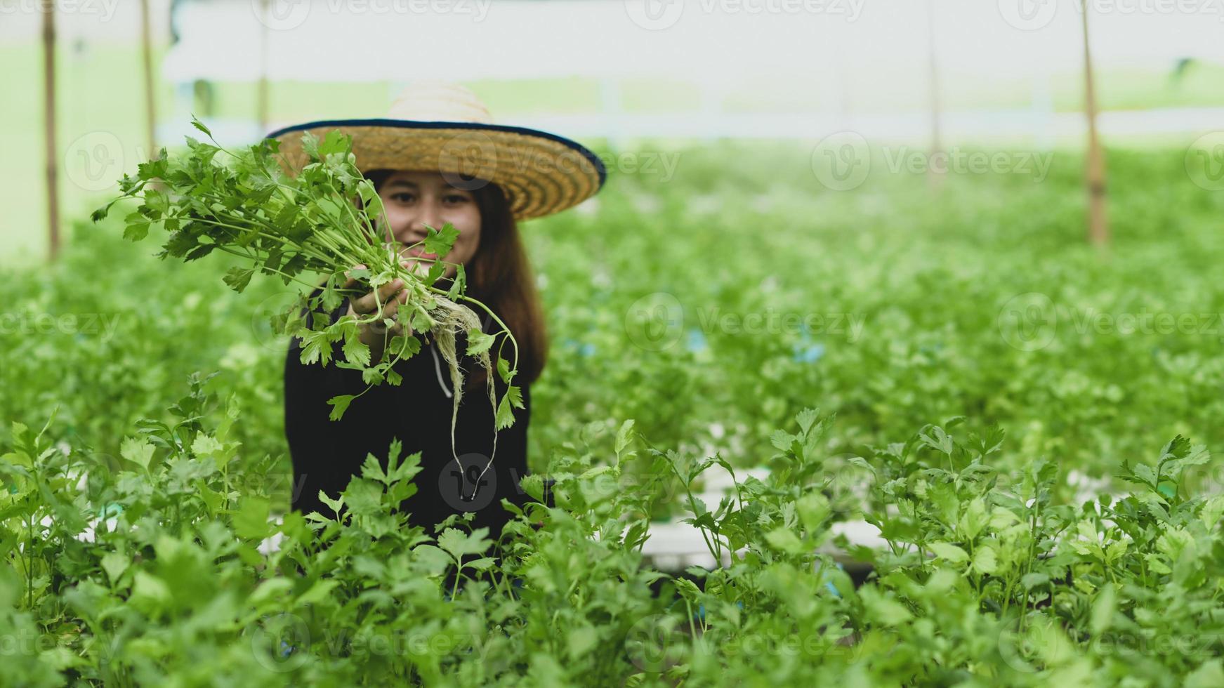en tonårsflicka lantbrukare bryr sig och inspekterar grönsaker i sitt växthus. foto
