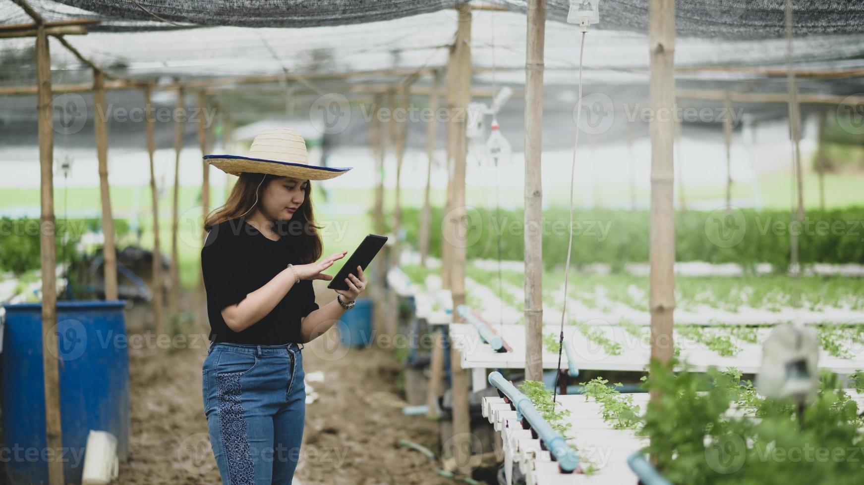 en tonårsflicka bonde använder en tablettapp för att styra grönsaksodling i växthus, smart gård. foto