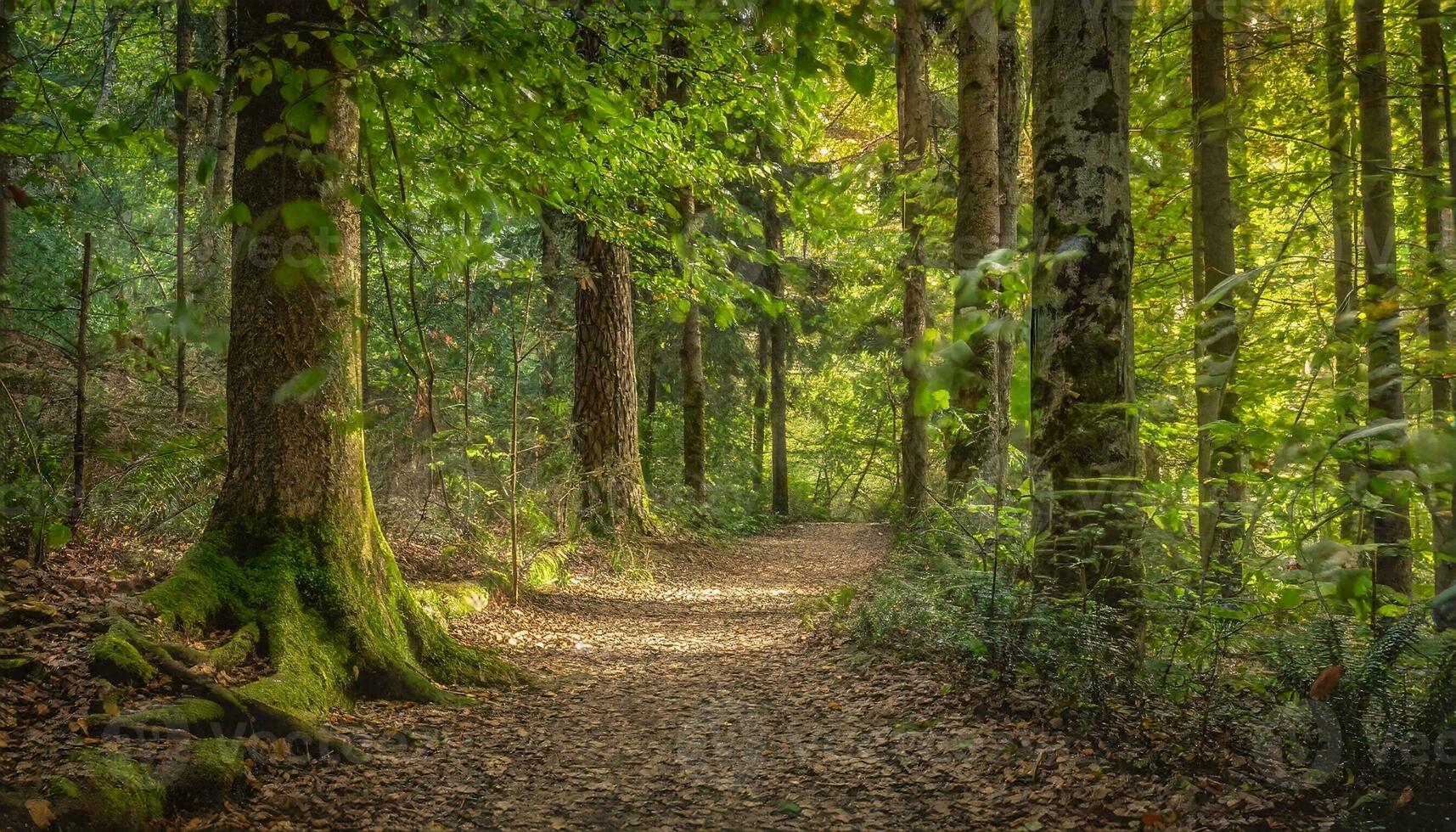 ai genererad skön natur bild foto