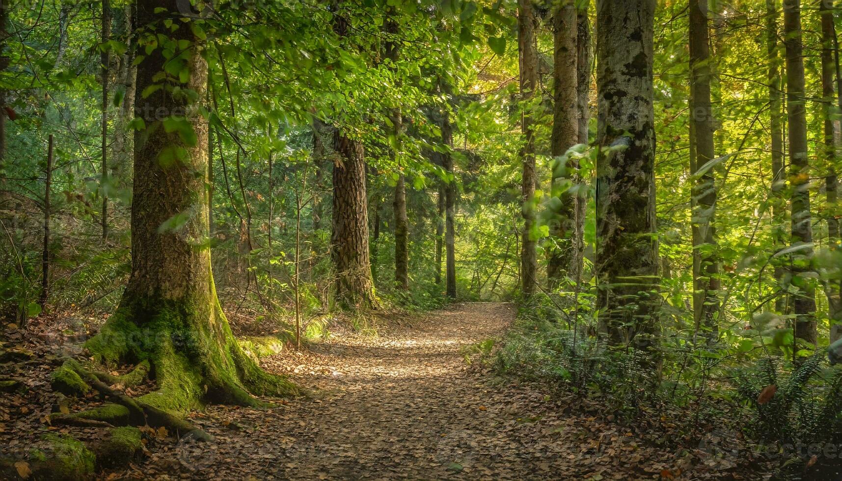 ai genererad skön natur bild foto