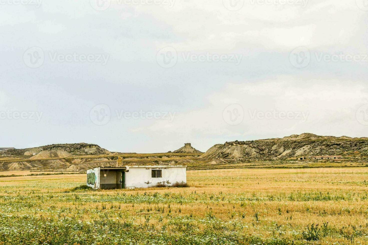 en små hus i de mitten av en fält foto