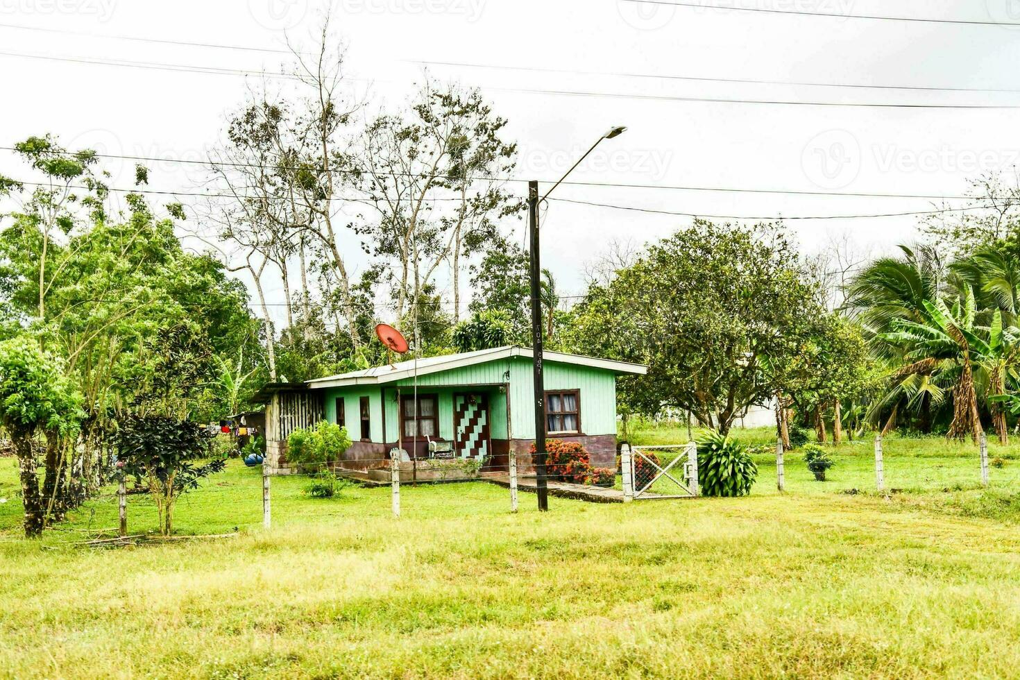 en små hus i de mitten av en frodig grön fält foto