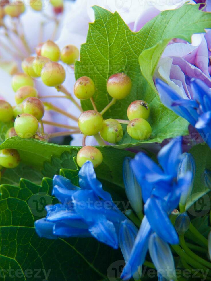 bukett i blommor foto