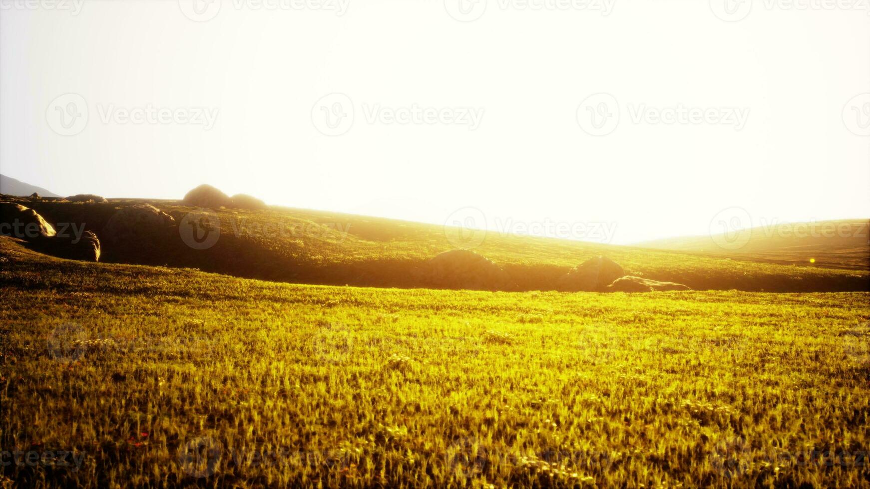 hög berg sommar landskap och äng med enorm stenar bland de gräs foto