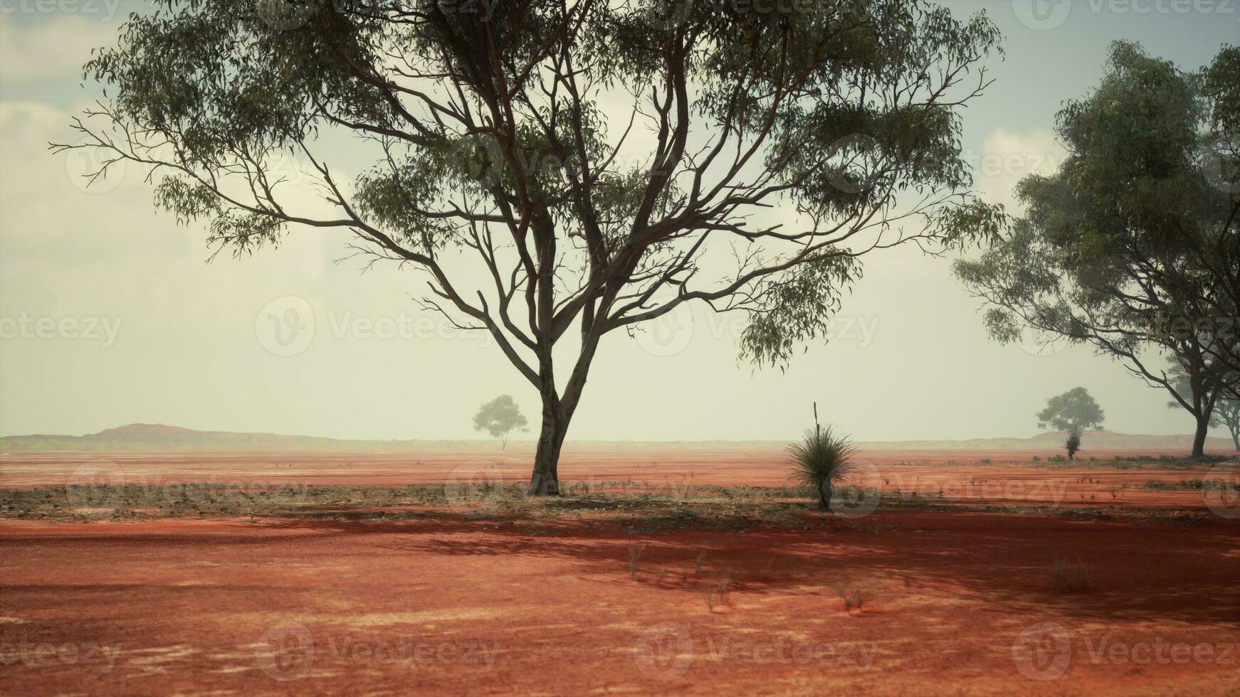 en fredlig lantlig landskap med träd i de distans foto