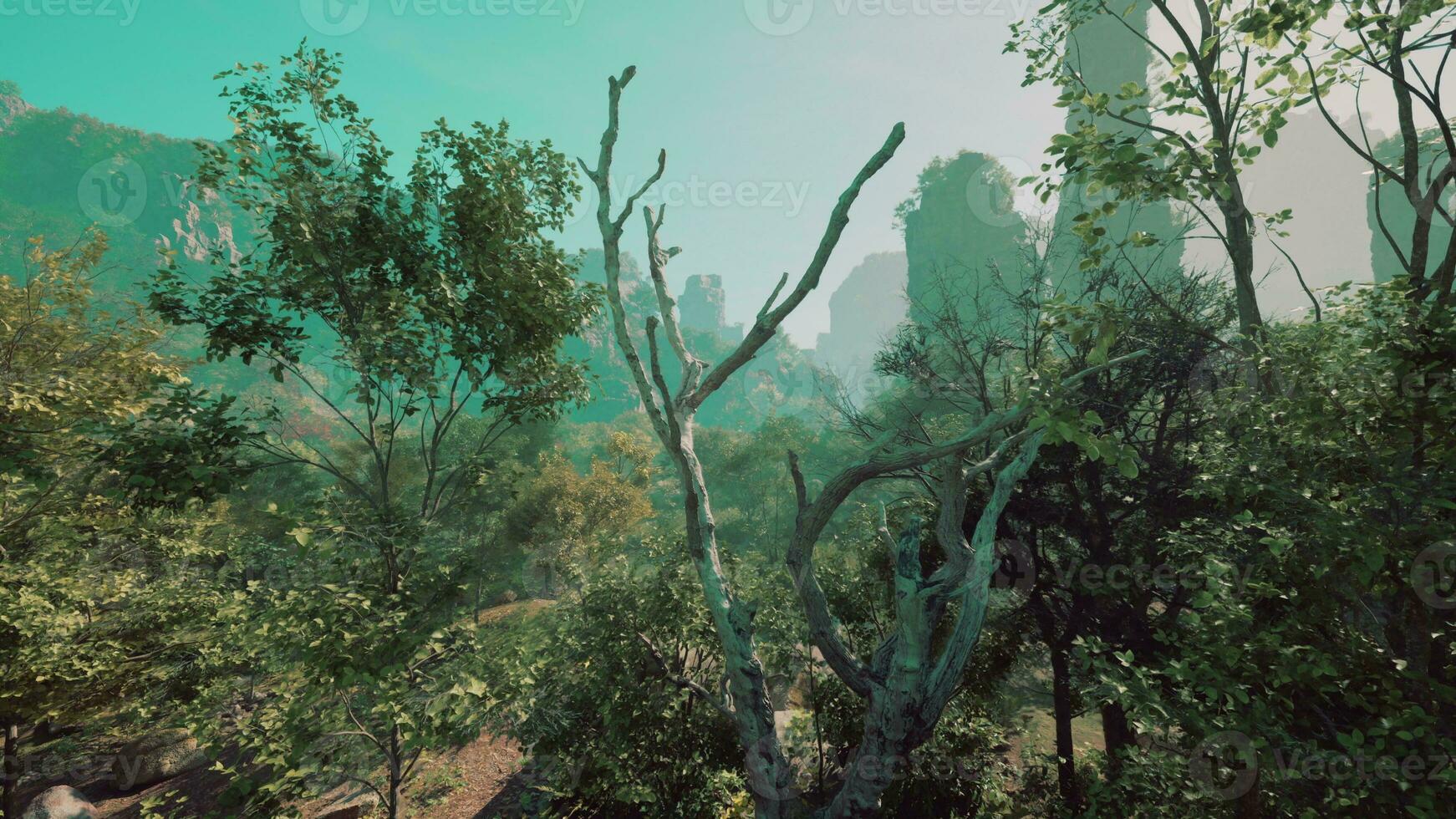 en målning av en skog med träd och bergen i de bakgrund foto