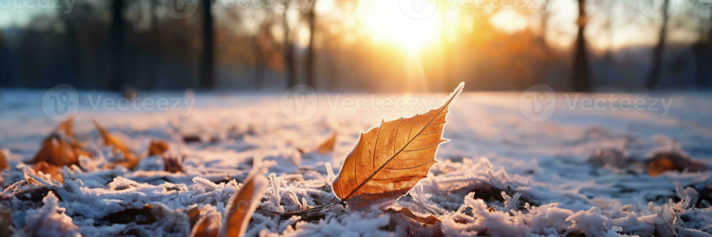 ai genererad en frost täckt blad under tidigt morgon- solljus de begrepp av hydratisering foto