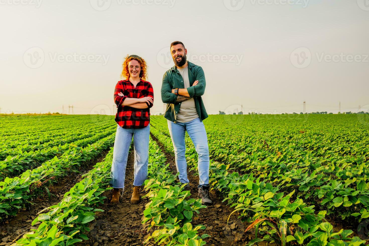 familj jordbruks ockupation. man och kvinna är odla sojaböna. de är nöjd med Bra framsteg av växter. foto