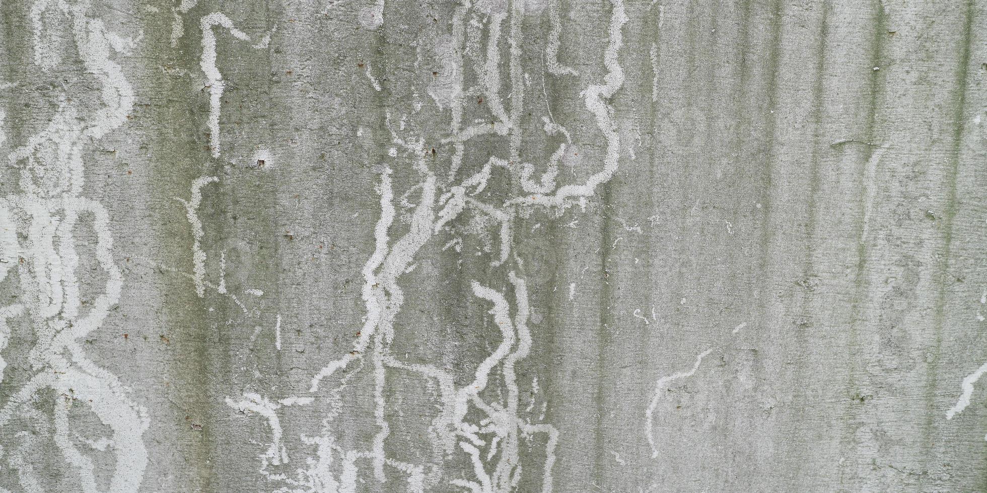 gammal cementbetongväggstruktur. vintage vägg bakgrund foto