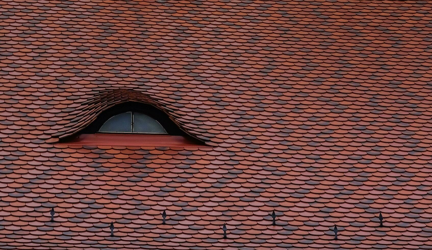 detalj se från en böjd tak med en fönster från en hus foto