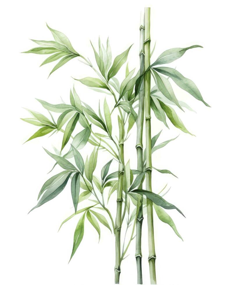 ai genererad vattenfärg bambu ClipArt isolerat på vit bakgrund. ai genererad foto