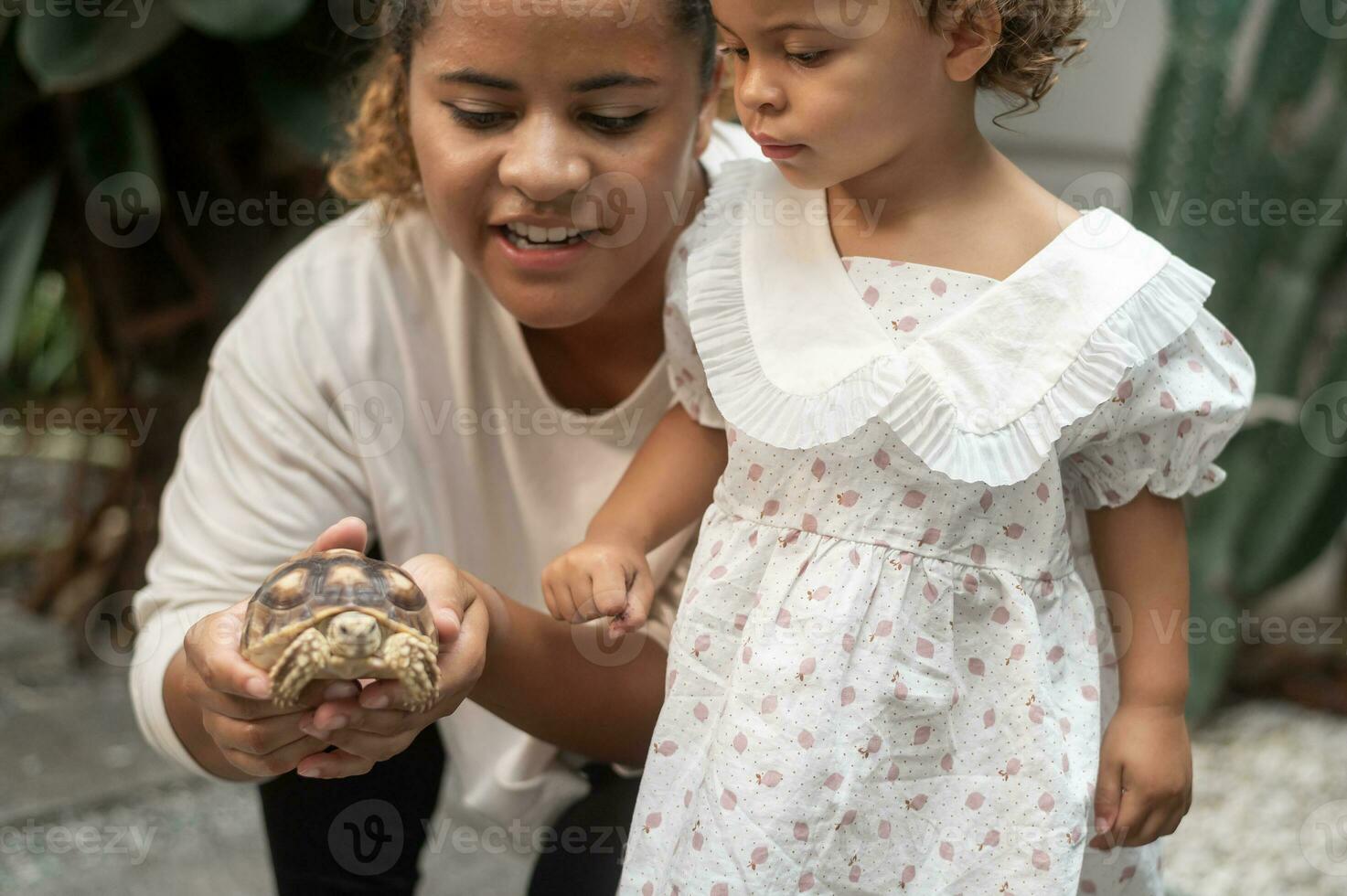 afrikansk amerikan mor innehav sköldpadda på henne hand som visar till en flicka i trädgård foto