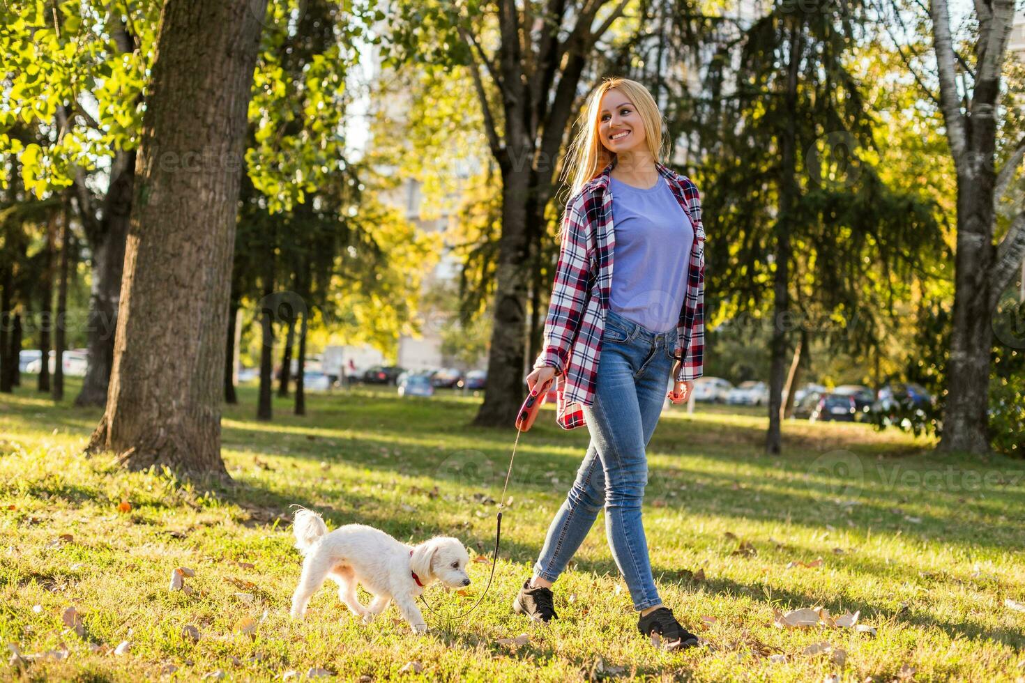 skön kvinna gående med henne maltese hund i de parkera. foto