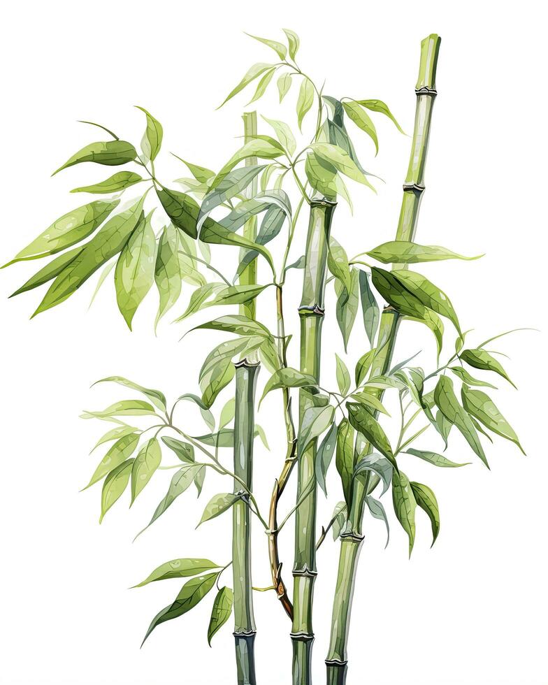 ai genererad vattenfärg bambu ClipArt isolerat på vit bakgrund. ai genererad foto