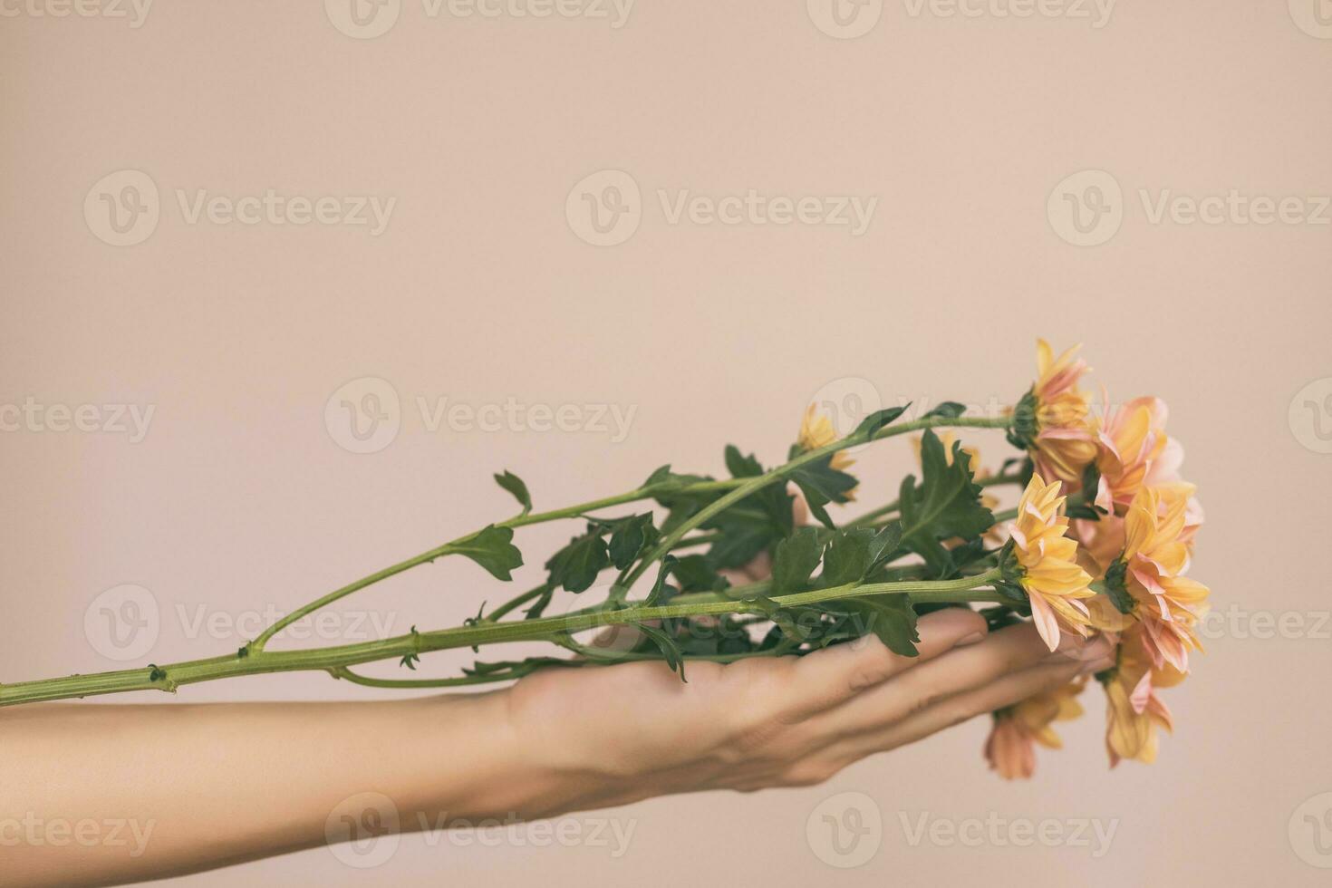 kvinna innehav skön bukett av blommor. foto