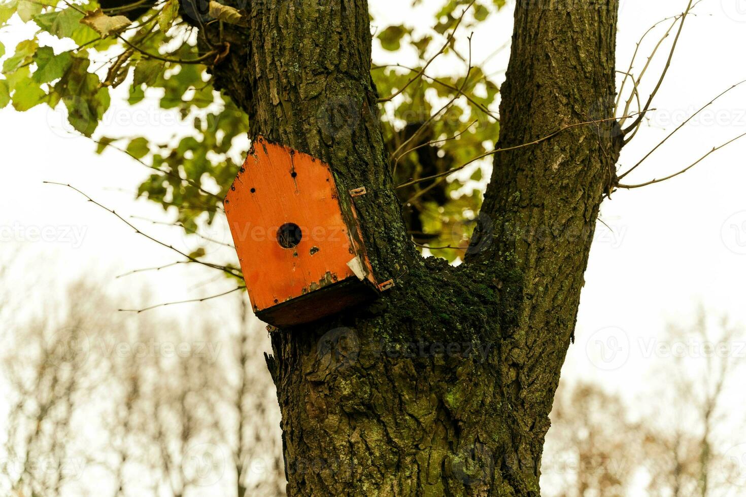 vibrerande röd fågelholk hängande från en frodig träd gren i de trädgård foto