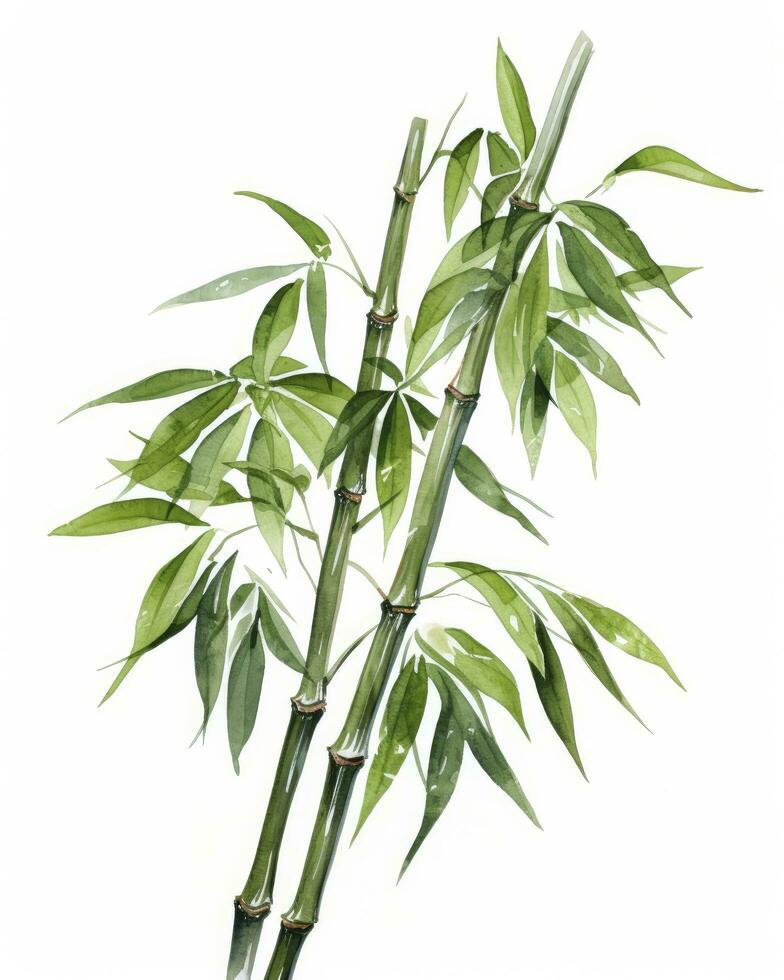 ai genererad vattenfärg bambu ClipArt isolerat på vit bakgrund. ai genererad foto