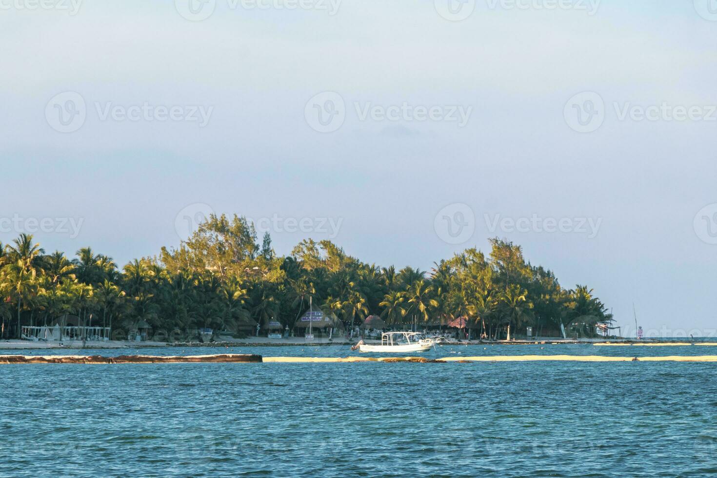 båtar yachter katamaran brygga fartyg hamn playa del carmen Mexiko. foto