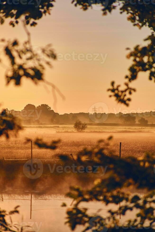 dimma över fält i gyllene morgon- ljus foto