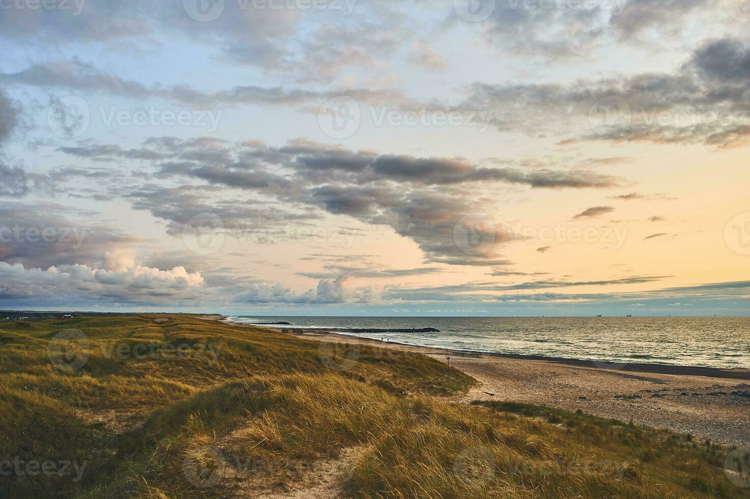 bred strand på nordlig Danmark foto