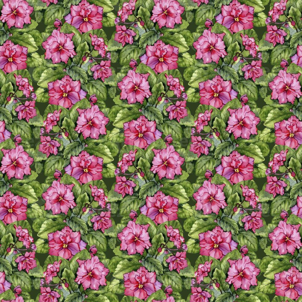 sömlös mönster av vattenfärg saintpaulia blommor. blommig botanisk digital papper foto