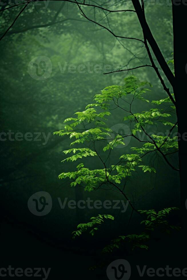 ai genererad en lugn skog scen badade i mjuk, diffunderade ljus foto