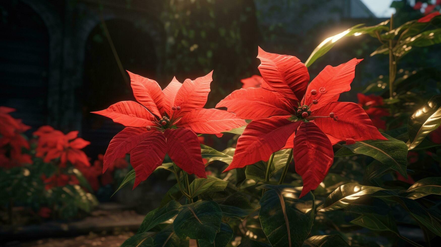 ai genererad en julstjärna har ljus röd blommor i de bakgrund, foto