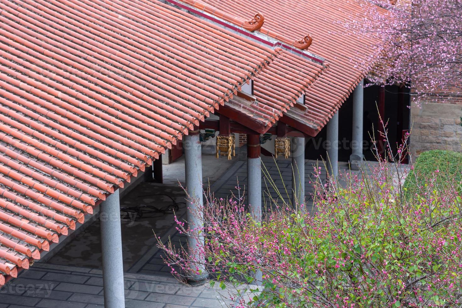 de rosa plommonblommorna i buddhistiska tempel är öppna foto