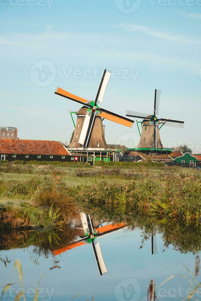 populär turist fläck zaanse schans är nära amsterdam i de väst av de nederländerna. historisk, realistisk väderkvarnar under soluppgång. hollands landmärke foto