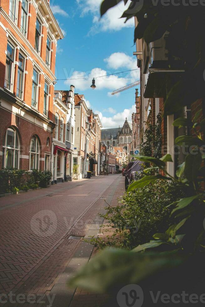 typisk dutch gata med en rutig väg och färgrik hus väggar i haarlem under dagsljus timmar. utforska och livsstil av nederländerna foto